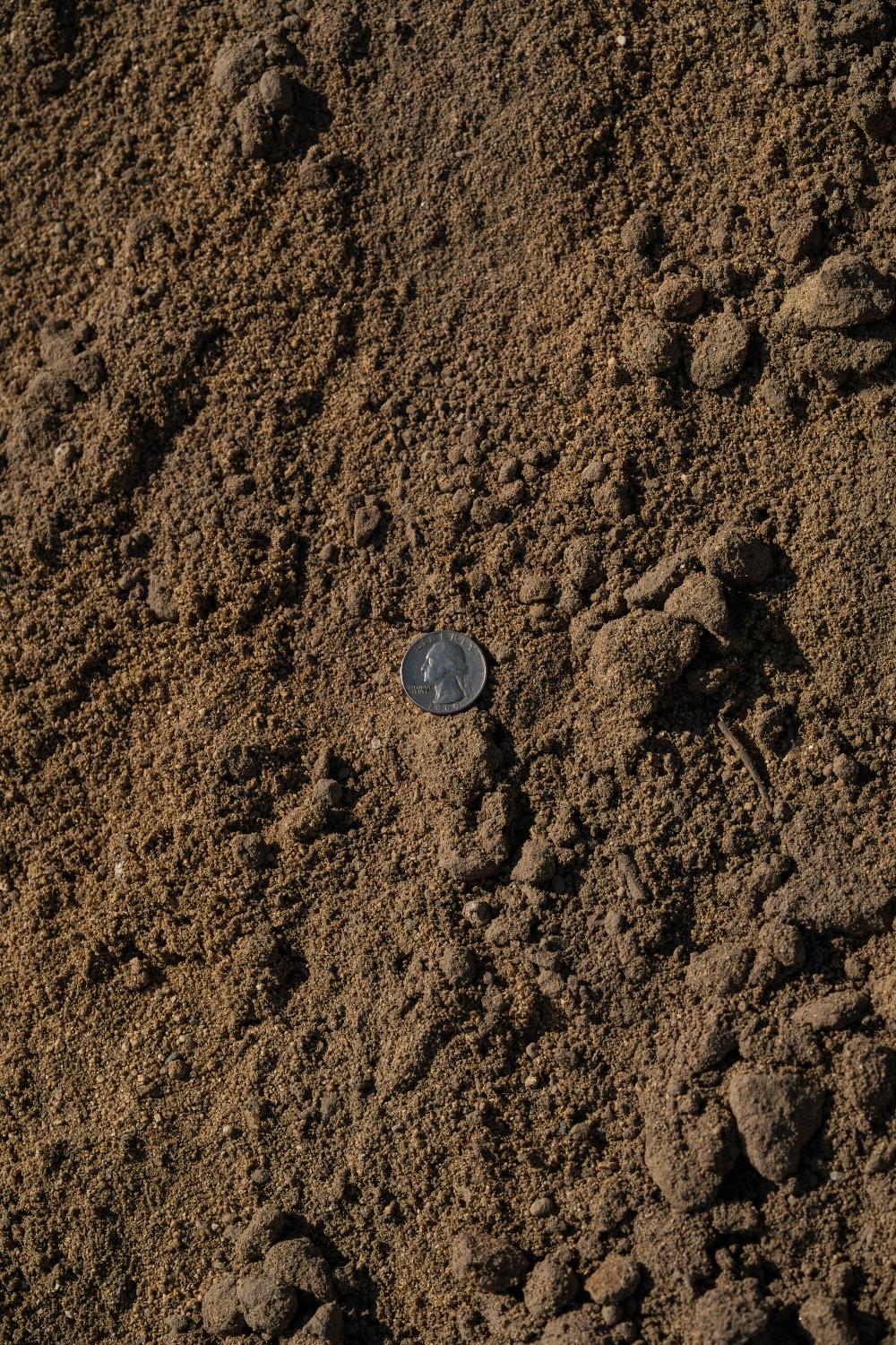 Fill Dirt