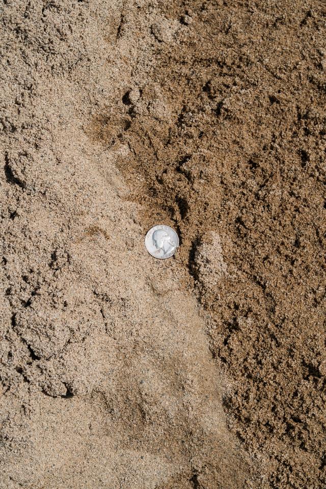 Fill Sand available in Fresno, CA